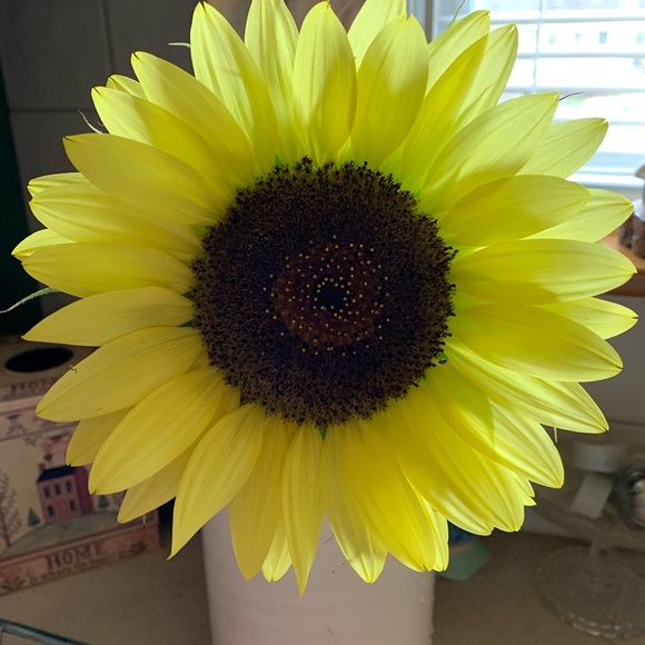 ♥️ Bookmark to come back again & again ❤️ - Picture 6 of 7